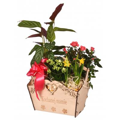 Dzień Matki drewniany kosz...