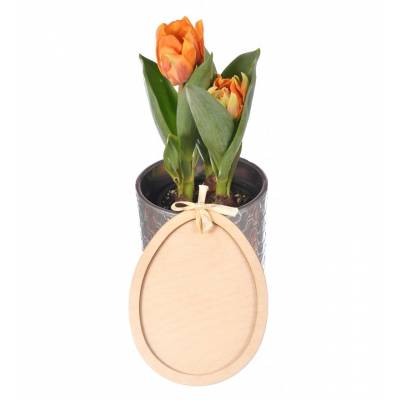 Jajko z ramką ze sklejki...